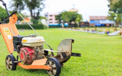 Benefits of Organic Lawn Care in Fairfield Connecticut